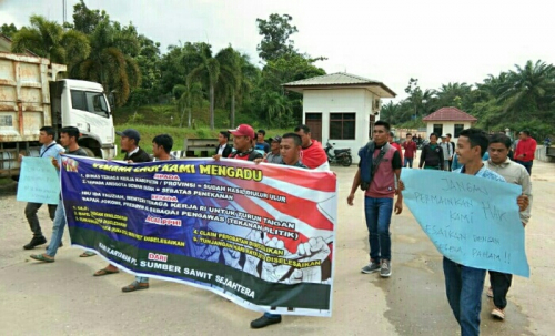 GoRiau - Gaji Tak Kunjung Dibayar, Puluhan Karyawan PT SSS di Pelalawan Demo